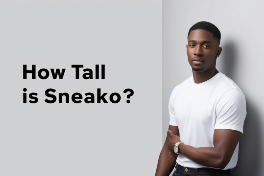 sneako height